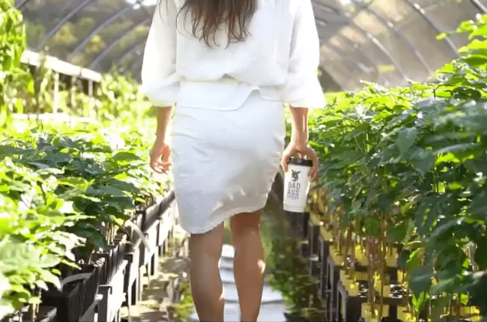 Bad Ass Coffee of Hawaii coffee shop franchise woman walks through greenhouse holding a Bad Ass Coffee cup