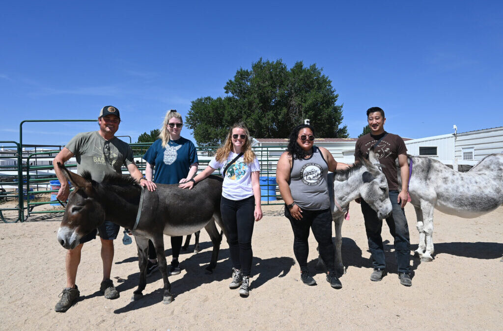 Give A Hoof: Bad Ass Coffee of Hawaii Raises Money to Support Donkey Rescue Farms