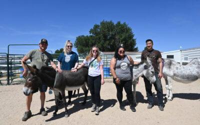 Give A Hoof: Bad Ass Coffee of Hawaii Raises Money to Support Donkey Rescue Farms